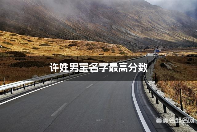在线取名起名 许姓男宝名字最高分数