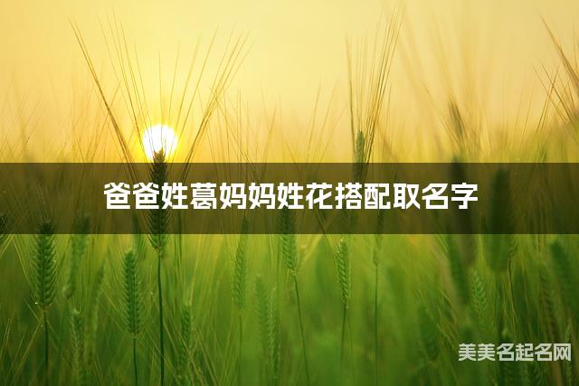 将葛姓和花姓结合取名字，好听有气质的女宝宝名字推荐