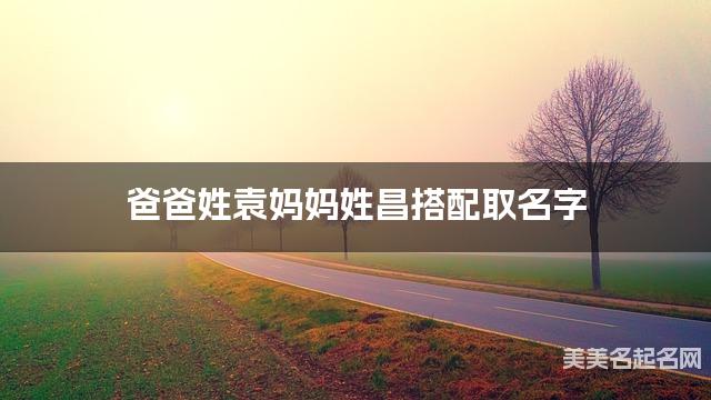 把袁姓和昌姓结合取男生名字方案参考