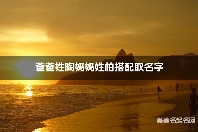 陶柏姓氏搭配取名，有涵养的男宝宝名字案例