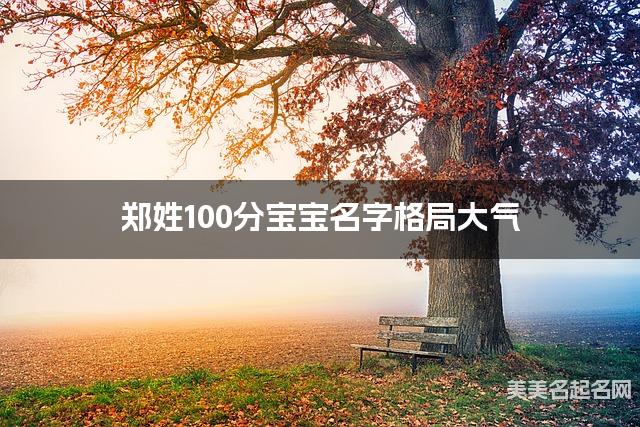 郑姓100分宝宝名字格局大气