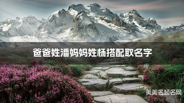 爸爸姓潘媽媽姓楊，如何结合两個姓氏取小女孩名字