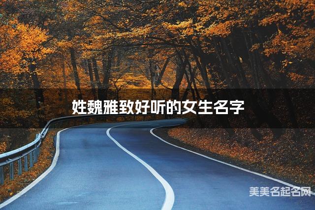 姓魏雅致好听的女生名字