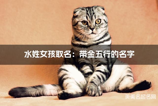 水姓女孩取名：带金五行的名字（有新意）