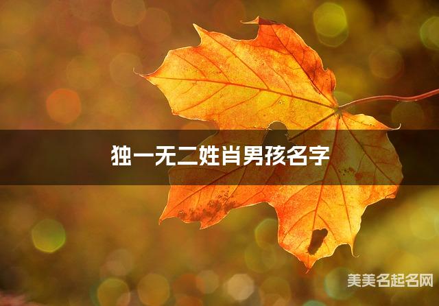 宝宝取名字大全 独一无二姓肖男孩名字