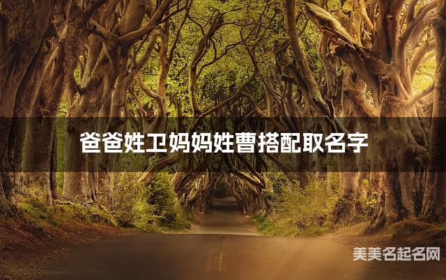 爸爸姓卫妈妈姓曹搭配取名字