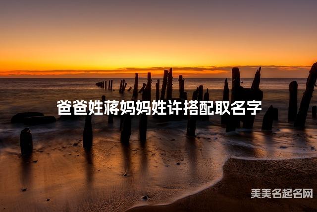 有新意的男生名字，爸爸姓蒋妈妈姓许搭配取名