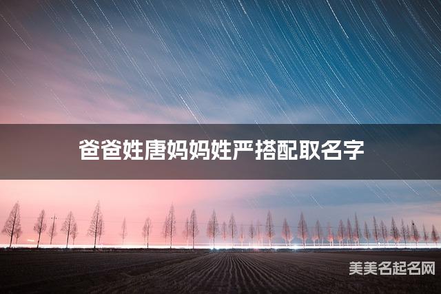 爸爸姓唐妈妈姓严搭配取名字