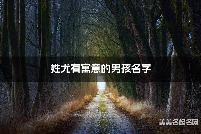 姓尤有寓意的男孩名字