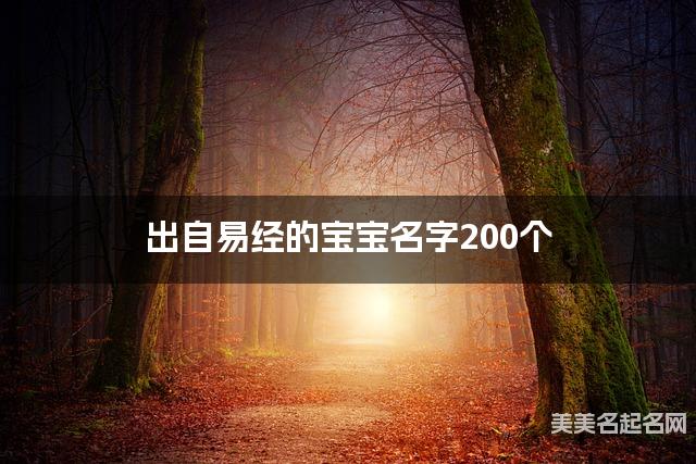 出自易经的宝宝名字200个