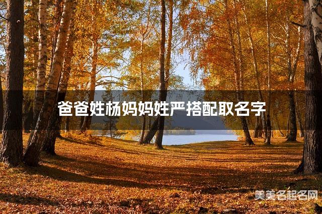 爸爸姓杨妈妈姓严搭配取名字