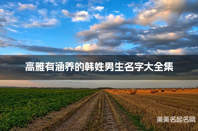 高雅有涵养的韩姓男生名字大全集