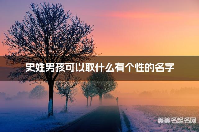 取名字大全免费查询 史姓男孩可以取什么有个性的名字