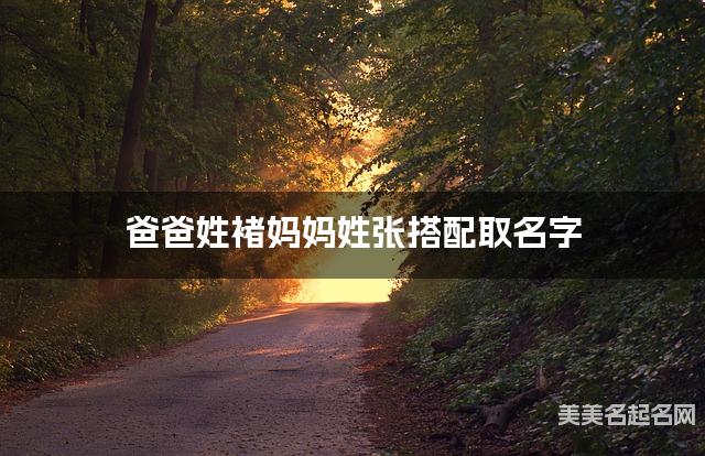 爸爸姓褚妈妈姓张搭配取名字