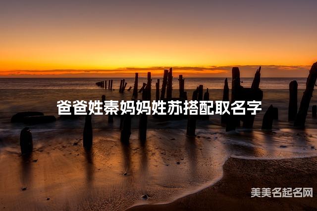 有诗意的女宝名字，爸爸姓秦妈妈姓苏搭配取名