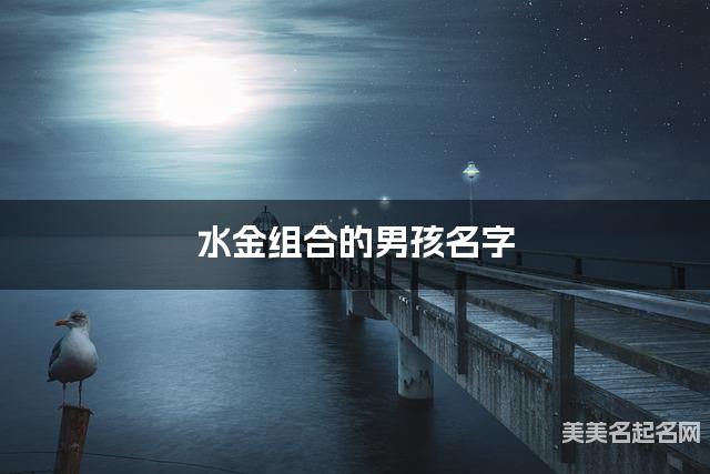 水金组合的男孩名字 男孩盛气凌人的名字