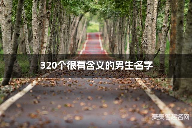320个很有含义的男生名字