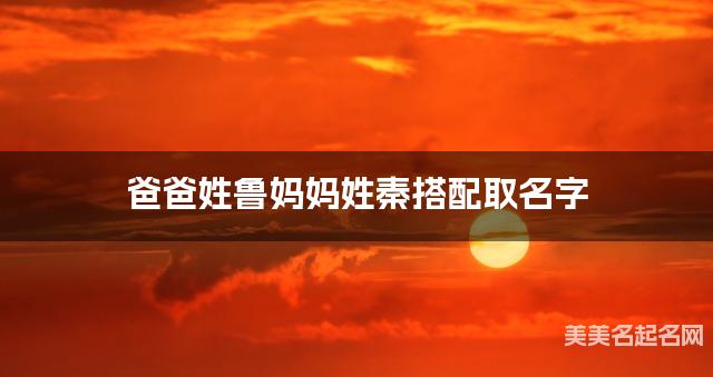 有含义的宝宝名字，爸爸姓鲁妈妈姓秦搭配取名