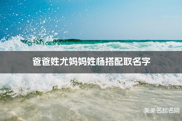 把尤姓和杨姓结合取小男孩名字方案参考