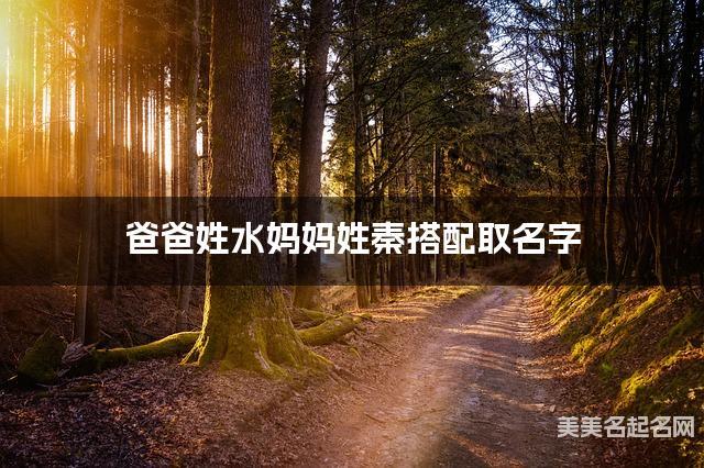 爸爸姓水妈妈姓秦搭配取名字