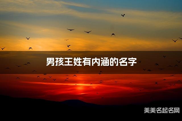 男孩王姓有内涵的名字