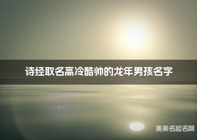 诗经取名高冷酷帅的龙年男孩名字