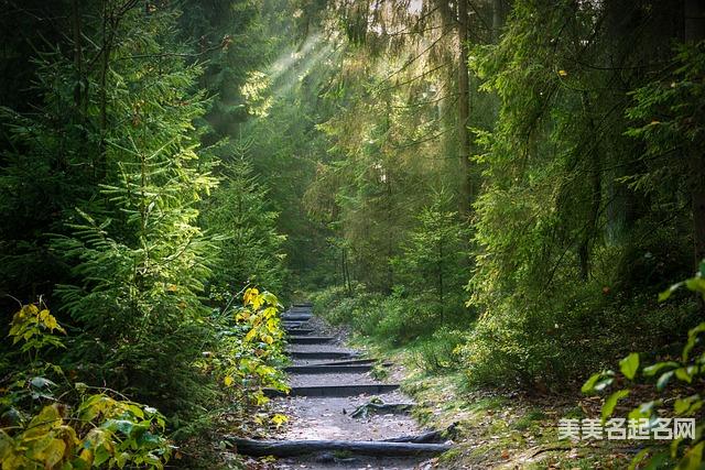 曹姓有文采典故的女孩名字100分