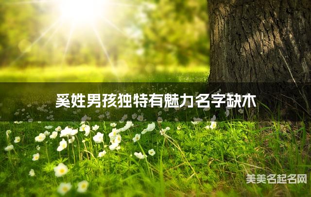 奚姓男孩独特有魅力名字缺木 有寓意的宝宝名字大全