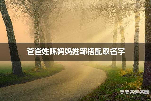 爸爸姓陈妈妈姓邹搭配取名字