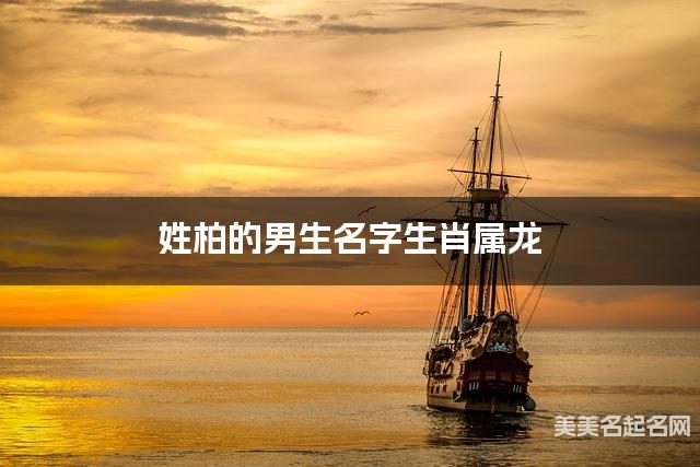 姓柏的男生名字生肖属龙 有气质的宝宝名字大全