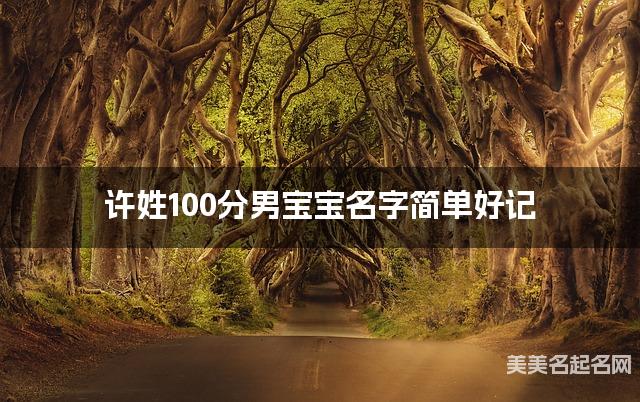 许姓100分男宝宝名字简单好记