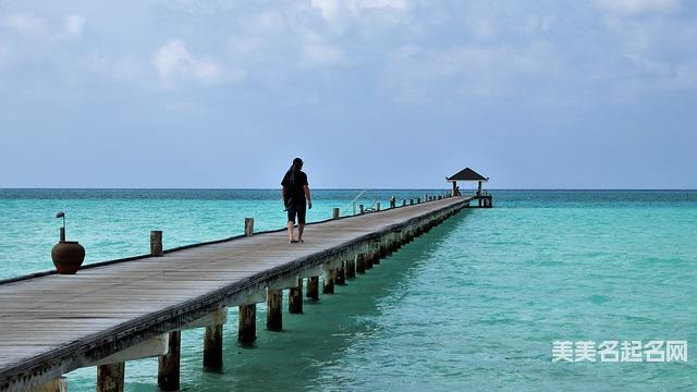 取名字大全免费查询 小男孩古风意境唯美的名字500个