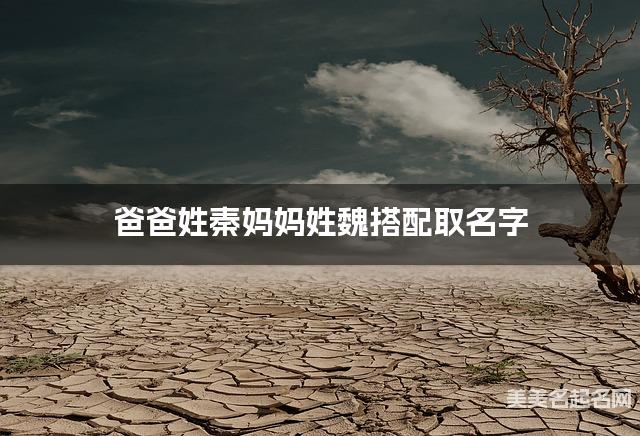 爸爸姓秦妈妈姓魏搭配取名字