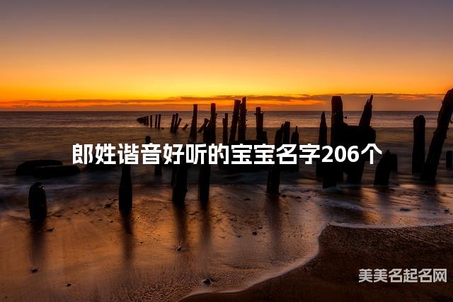 郎姓谐音好听的宝宝名字206个