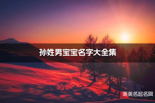 孙姓男宝宝名字大全集（简单顺口300个）