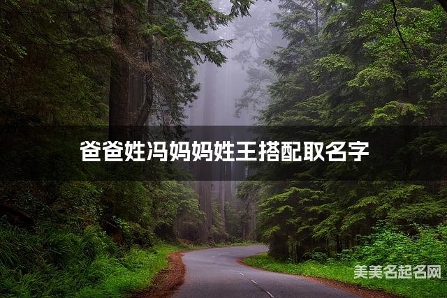 父母冯姓和王姓男宝宝取名搭配推荐（惊艳）