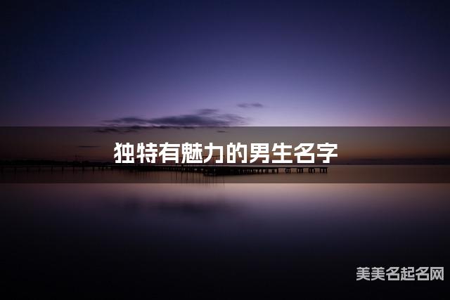 独特有魅力的男生名字（389个最新）