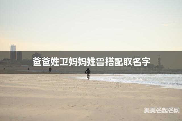 爸爸姓卫妈妈姓鲁搭配取名字