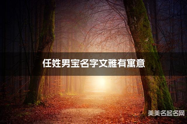 取名神器起名助手 任姓男寶名字文雅有寓意