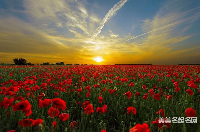 如何给男宝宝起一个最有气质的名字