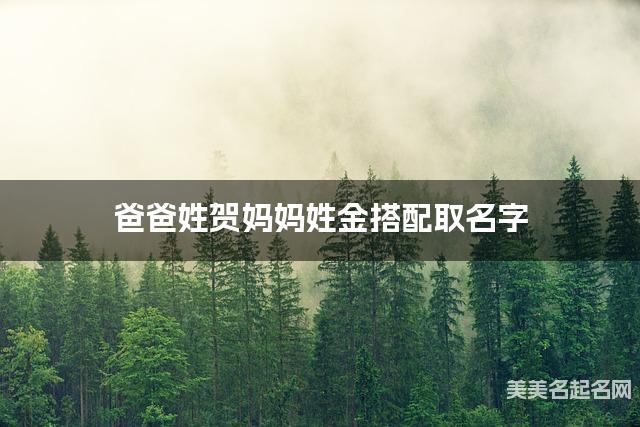 父母贺姓和金姓男孩取名搭配推荐（文艺淡雅）