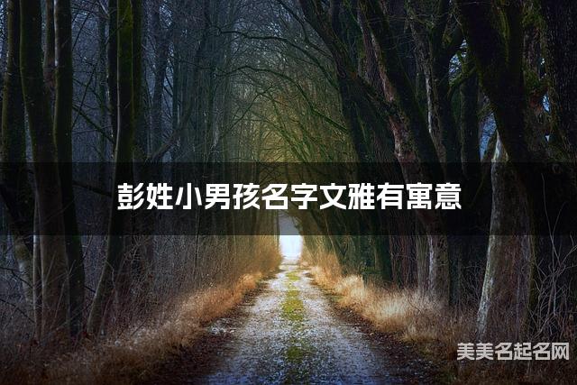 取名字在线大师取名 彭姓小男孩名字文雅有寓意