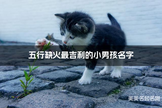 五行缺火最吉利的小男孩名字 有含义的宝宝名字大全