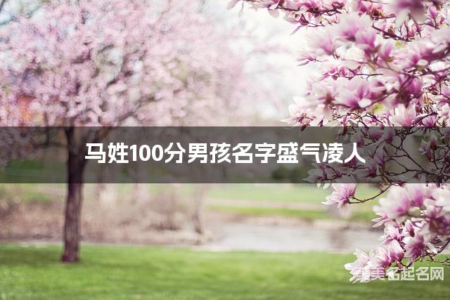 马姓100分男孩名字盛气凌人