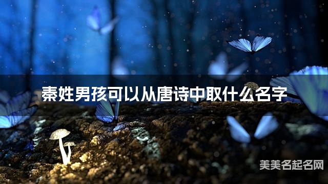 秦姓男孩可以从唐诗中取什么名字