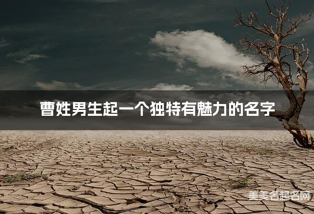 周易取名网 曹姓男生起一个独特有魅力的名字