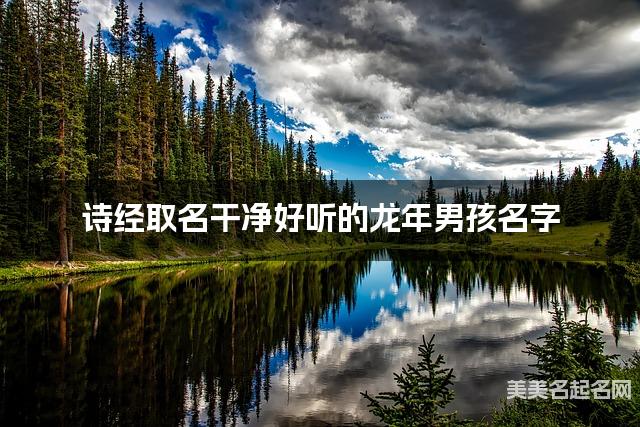 诗经取名干净好听的龙年男孩名字