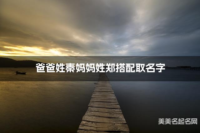 有新意的小男孩名字，爸爸姓秦妈妈姓郑搭配取名