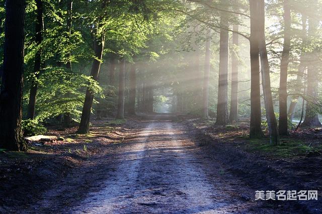 五行取名大全：2026精选带金的宝宝名字