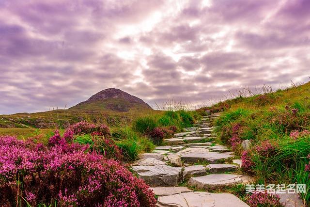 五行金和五行火搭配的女生名字大全